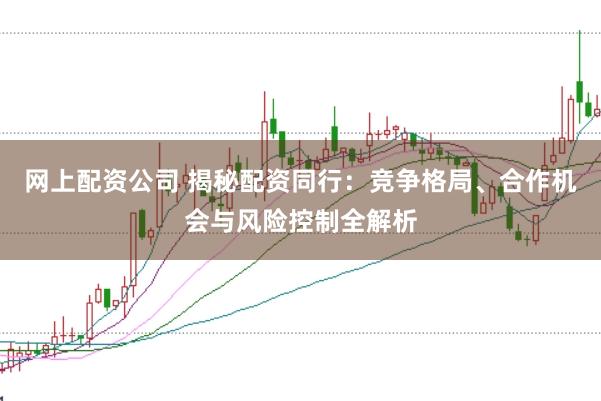 网上配资公司 揭秘配资同行：竞争格局、合作机会与风险控制全解析