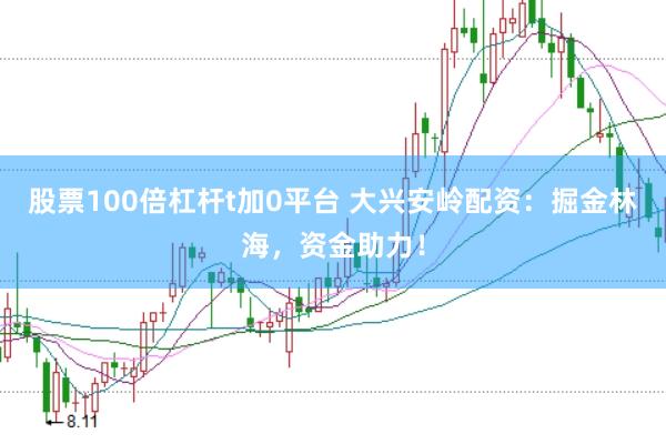 股票100倍杠杆t加0平台 大兴安岭配资：掘金林海，资金助力！