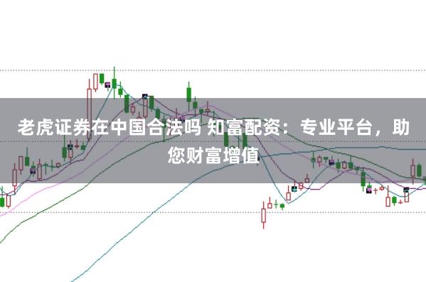 老虎证券在中国合法吗 知富配资：专业平台，助您财富增值