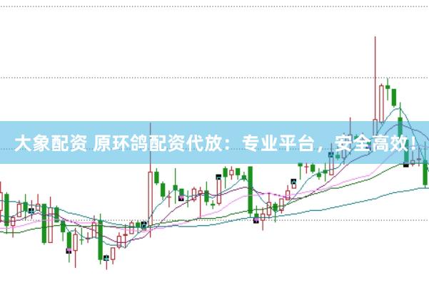 大象配资 原环鸽配资代放：专业平台，安全高效！