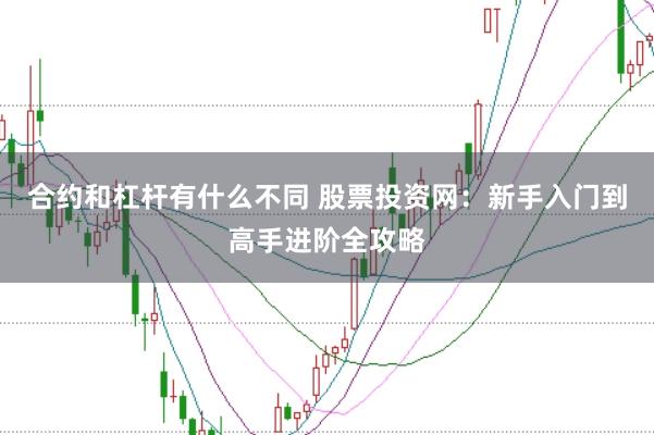 合约和杠杆有什么不同 股票投资网：新手入门到高手进阶全攻略
