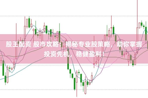 股王配资 股市攻略：揭秘专业股策略，助你掌握投资先机，稳健盈利！