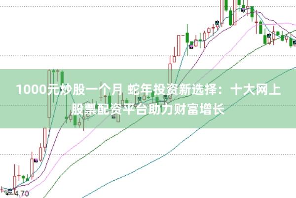 1000元炒股一个月 蛇年投资新选择：十大网上股票配资平台助力财富增长