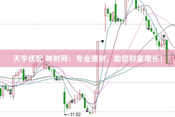 天宇优配 神财网：专业理财，助您财富增长！