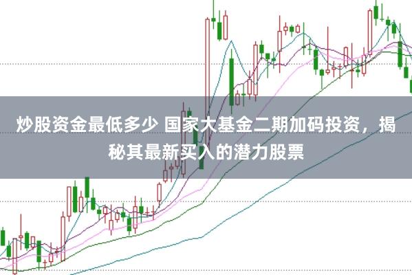 炒股资金最低多少 国家大基金二期加码投资，揭秘其最新买入的潜力股票