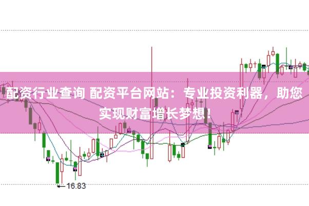 配资行业查询 配资平台网站：专业投资利器，助您实现财富增长梦想！