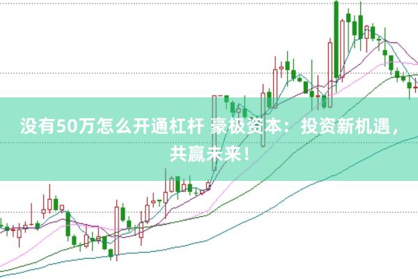 没有50万怎么开通杠杆 豪极资本：投资新机遇，共赢未来！