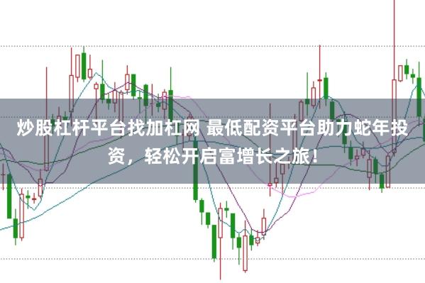 炒股杠杆平台找加杠网 最低配资平台助力蛇年投资，轻松开启富增长之旅！