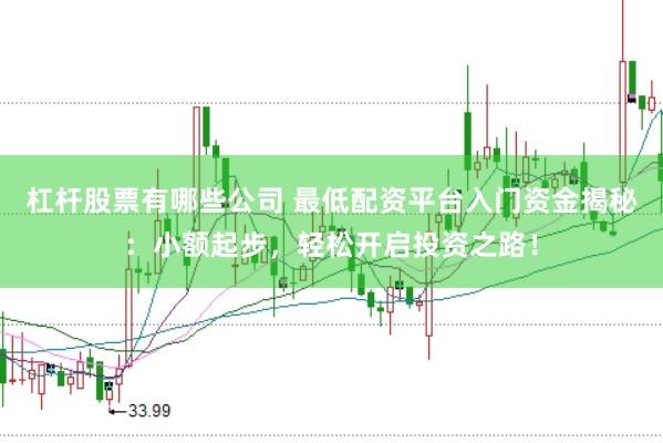 杠杆股票有哪些公司 最低配资平台入门资金揭秘：小额起步，轻松开启投资之路！