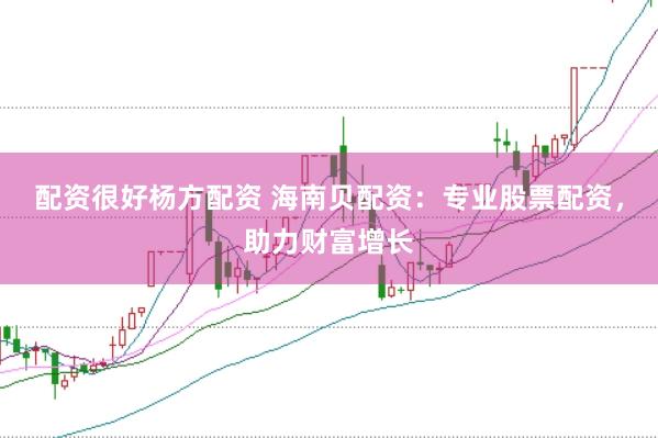 配资很好杨方配资 海南贝配资：专业股票配资，助力财富增长