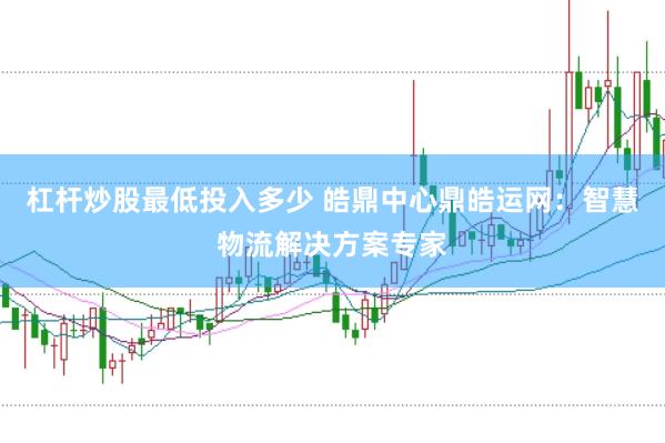 杠杆炒股最低投入多少 皓鼎中心鼎皓运网：智慧物流解决方案专家