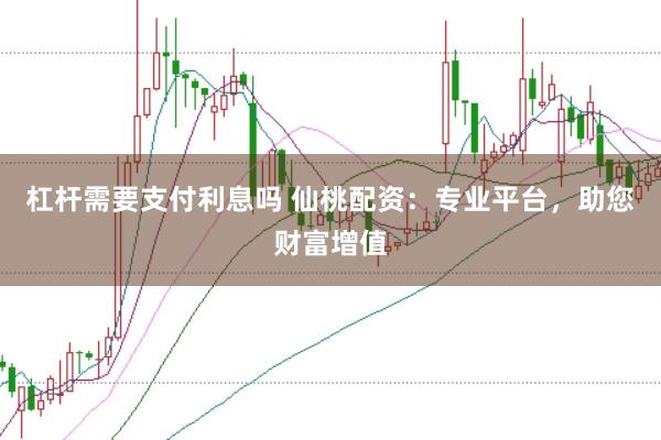 杠杆需要支付利息吗 仙桃配资：专业平台，助您财富增值