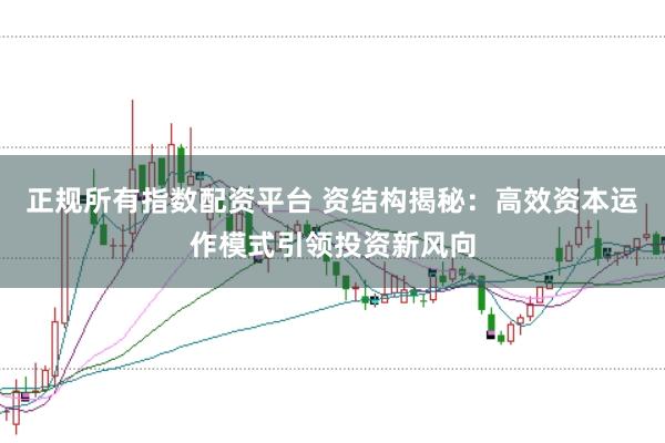 正规所有指数配资平台 资结构揭秘：高效资本运作模式引领投资新风向