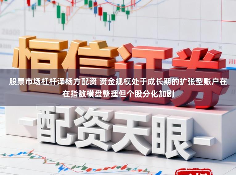 股票市场杠杆泽杨方配资 资金规模处于成长期的扩张型账户在在指数横盘整理但个股分化加剧